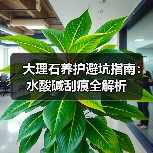 大理石养护避坑指南:水酸碱刮痕全解析(图2) 大理石养护避坑指南:水酸碱刮痕全解析(图2)