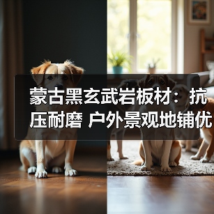 蒙古黑玄武岩板材：抗压耐磨 户外景观地铺优选（图3）