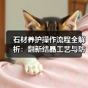 石材养护操作流程全解析:翻新结晶工艺与防护剂选择(图4) 石材养护操作流程全解析:翻新结晶工艺与防护剂选择(图4)